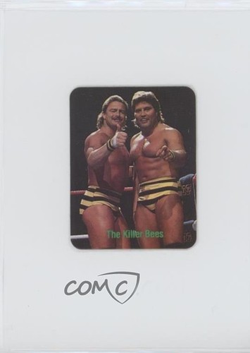 Borden wwf tag team - wwf,