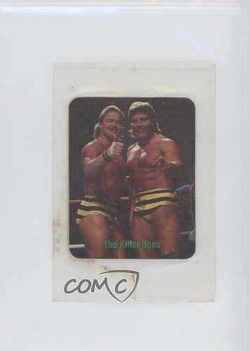 Borden wwf tag team - wwf,